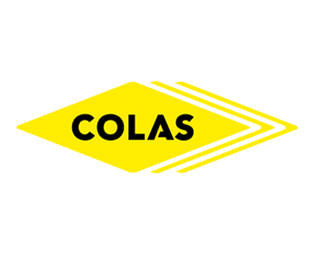 Triopsis Client Logo